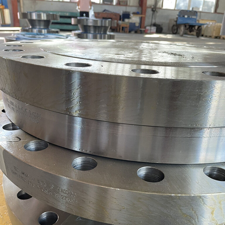 Threaded caecus flange01